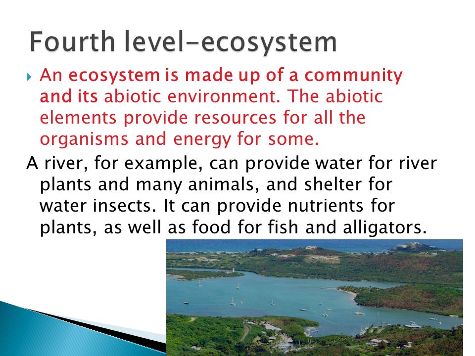  An ecosystem is made up of a community and its abiotic environment.