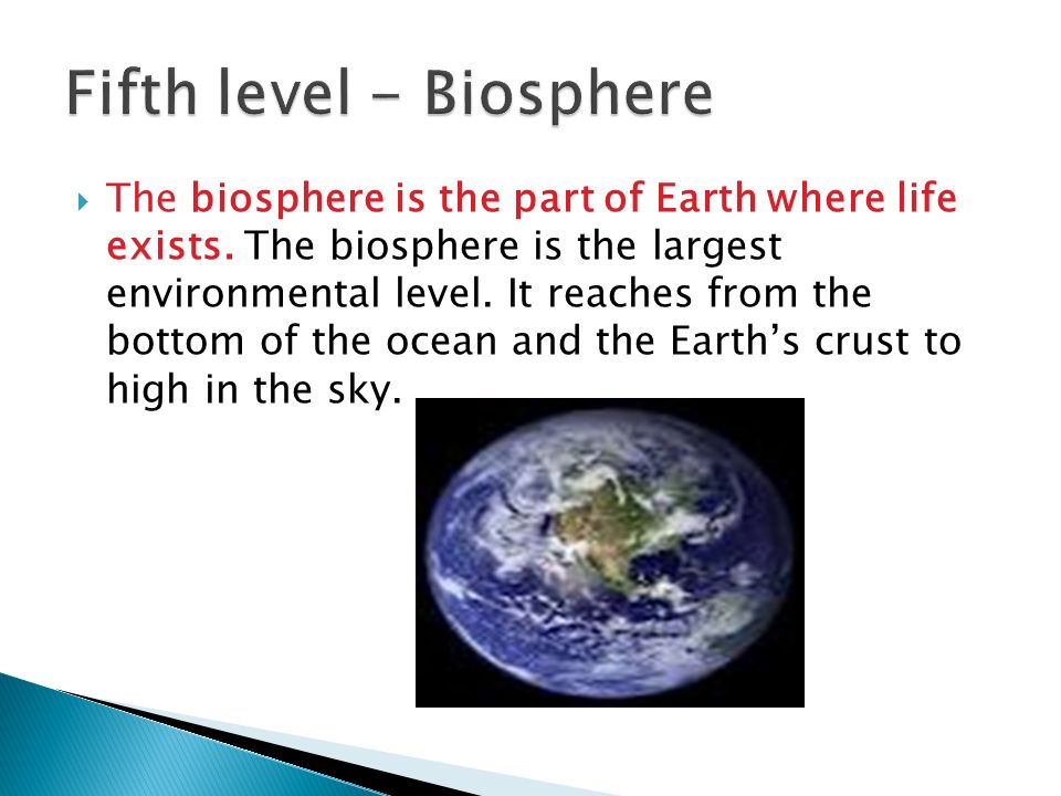 The biosphere is the part of Earth where life exists.