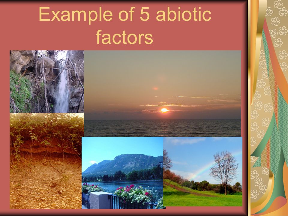 Example of 5 abiotic factors