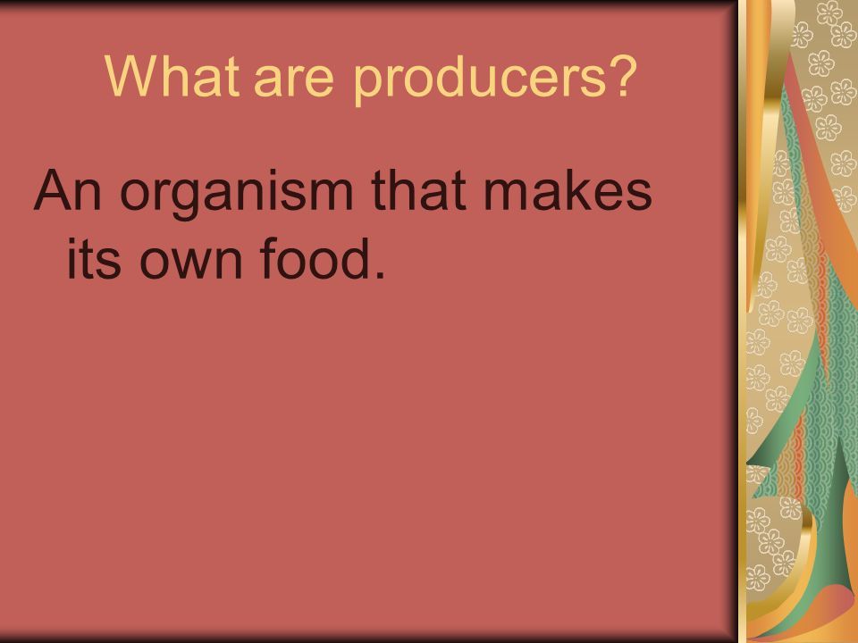What are producers An organism that makes its own food.