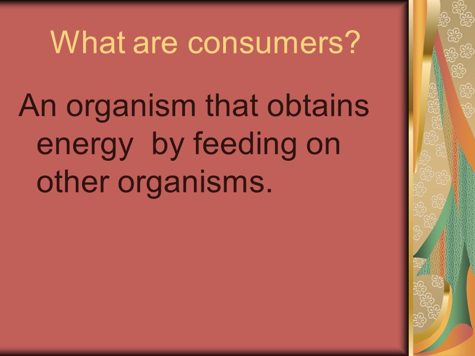 What are consumers An organism that obtains energy by feeding on other organisms.