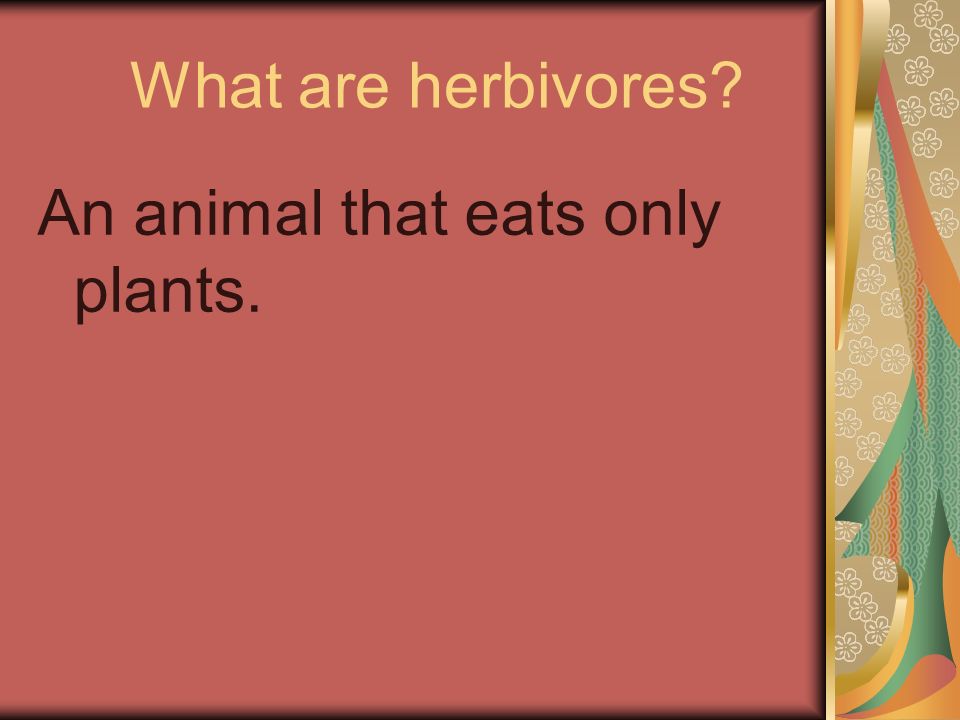 What are herbivores An animal that eats only plants.