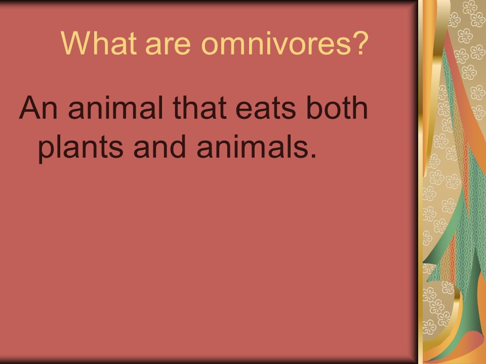 What are omnivores An animal that eats both plants and animals.