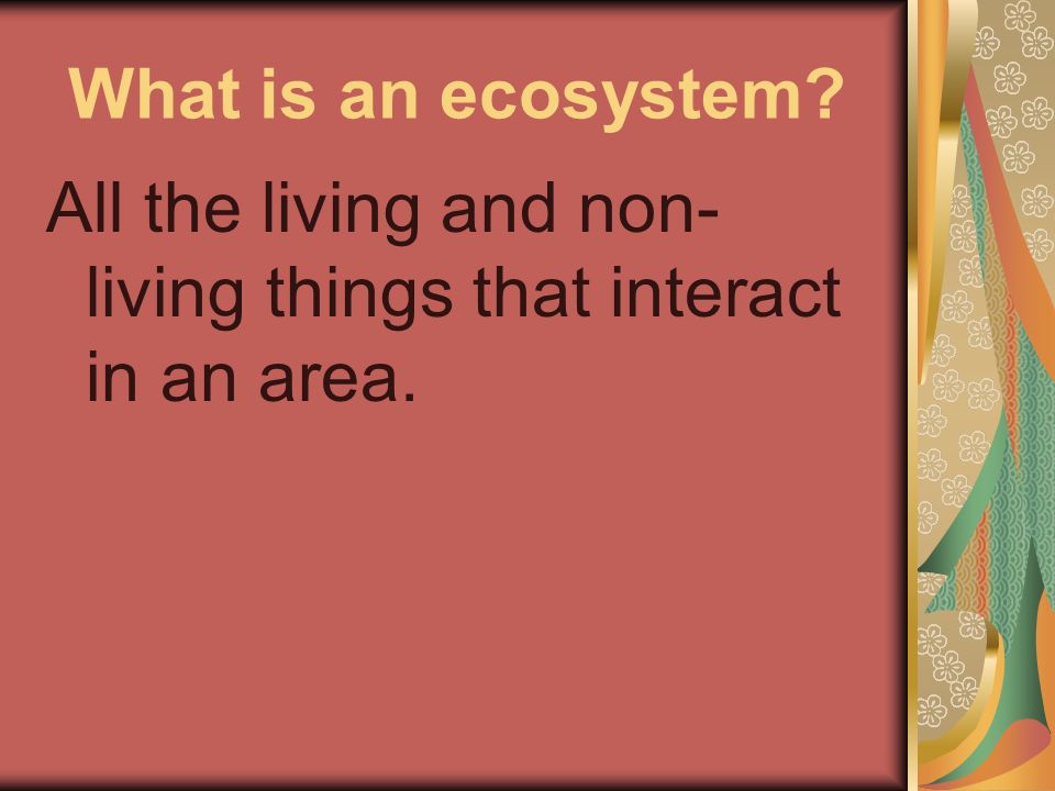 What is an ecosystem All the living and non- living things that interact in an area.