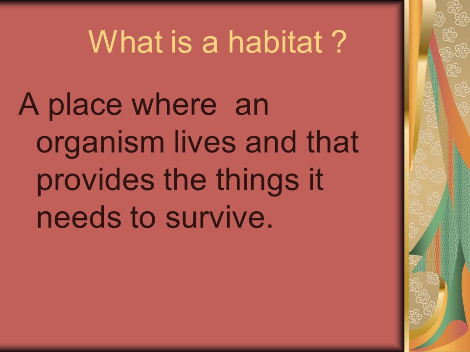 What is a habitat .