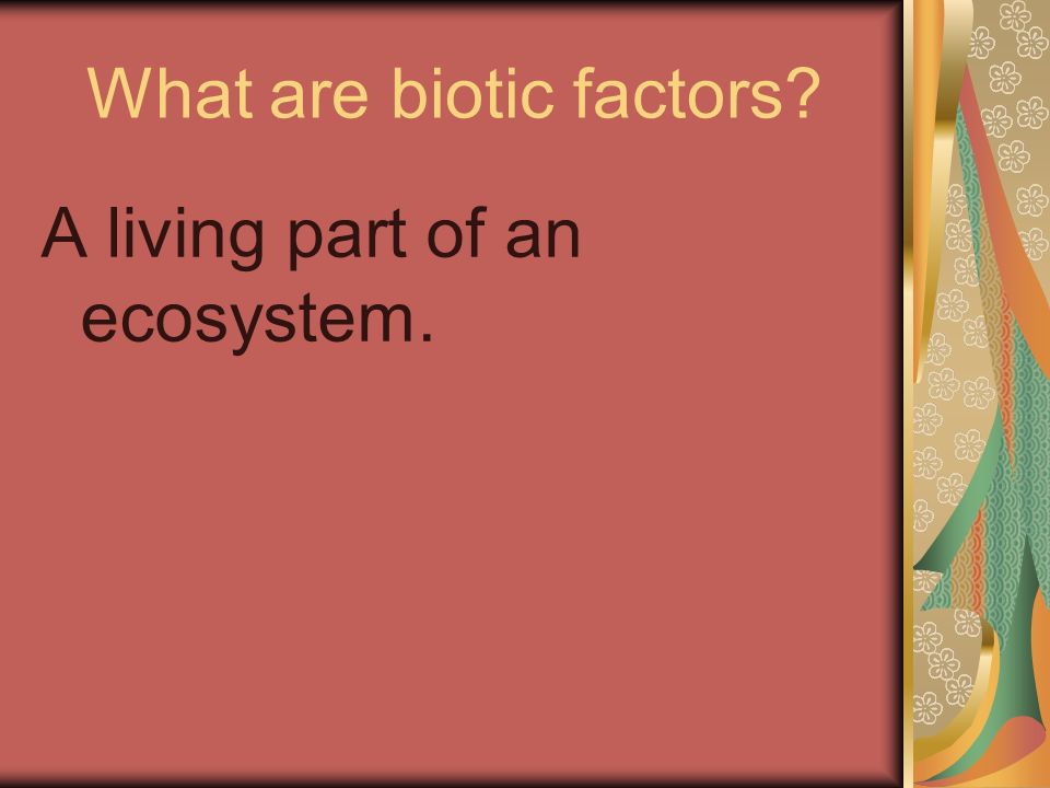 What are biotic factors A living part of an ecosystem.