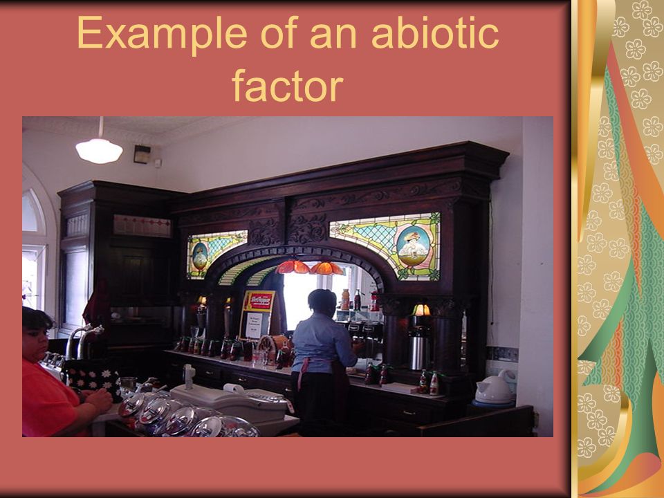 Example of an abiotic factor
