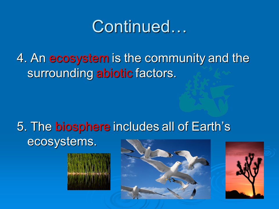 Continued… 4. An ecosystem is the community and the surrounding abiotic factors.