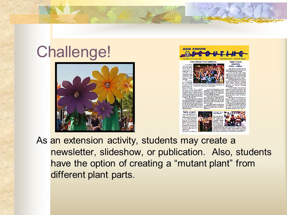 Challenge. As an extension activity, students may create a newsletter, slideshow, or publication.