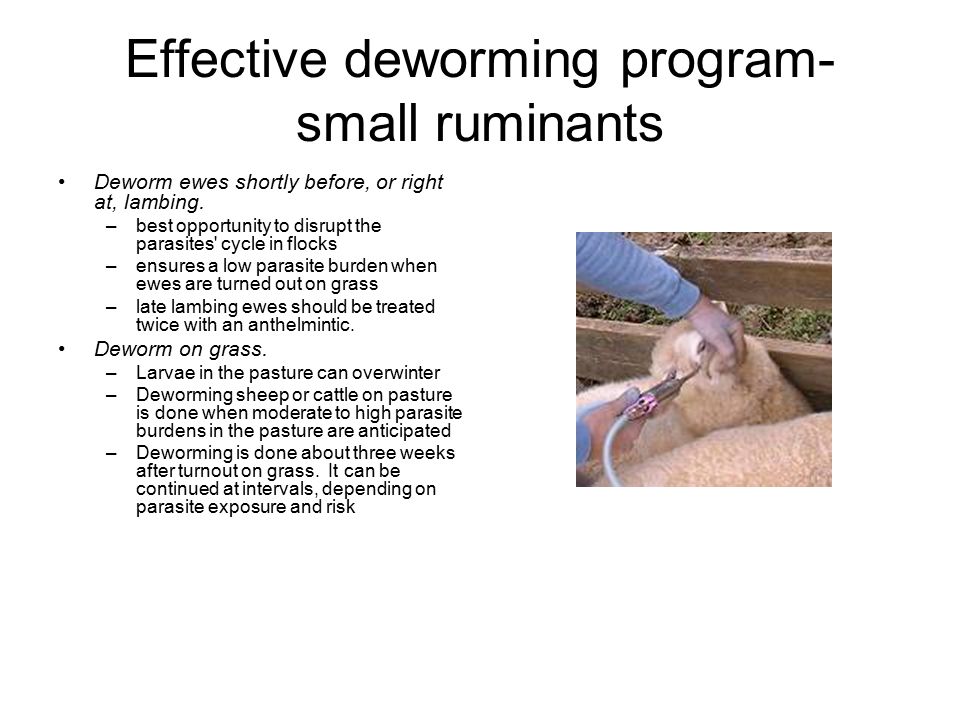 deworming ez