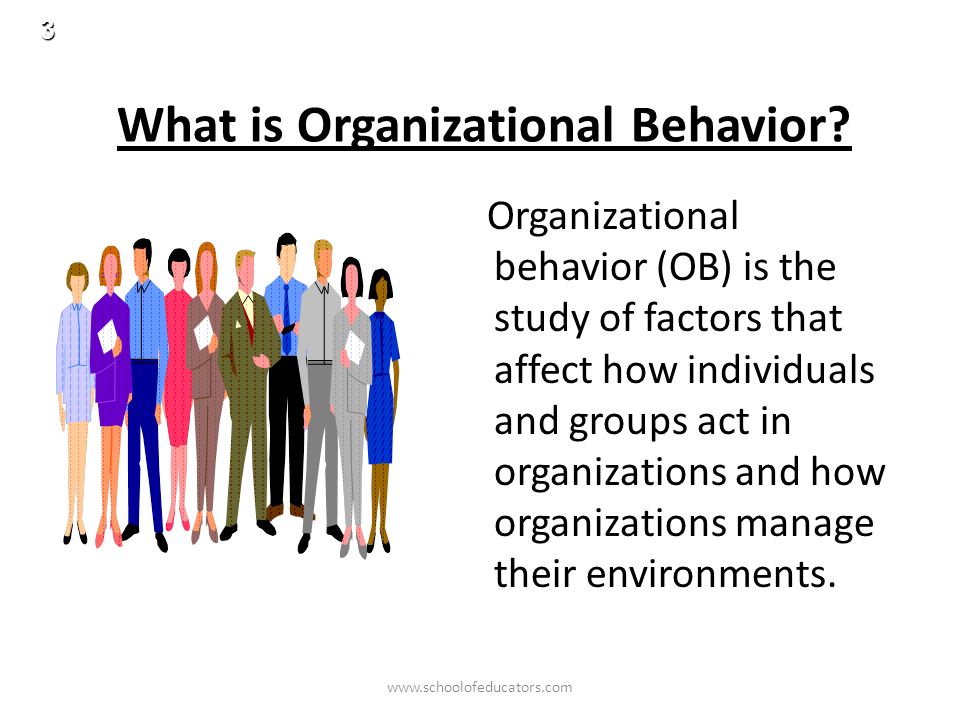 ORGANIZATIONAL BEHAVIOR AND MANAGEMENT - ppt download