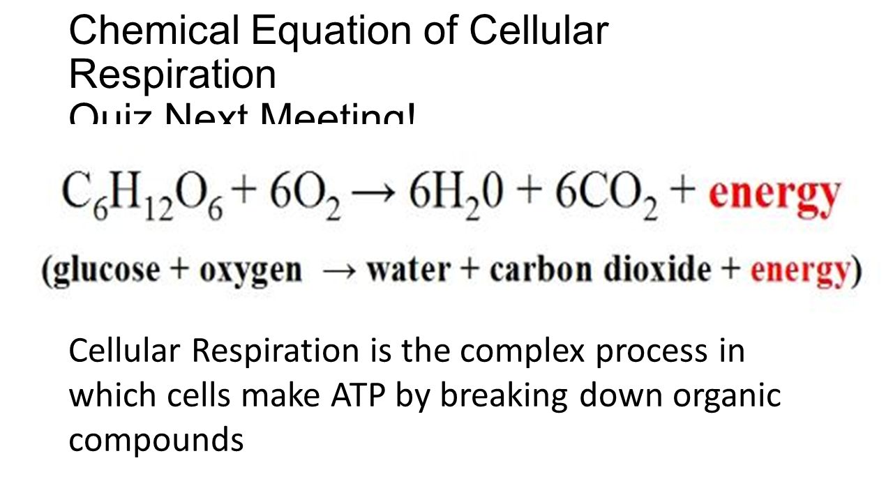 Respiration Breaking Down The Definitions 1 Cellular Respiration 2 Glycolysis 3 Pyruvic Acid 4 Nadh 5 Anaerobic 6 Aerobic Respiration 7 Fermentation Ppt Download