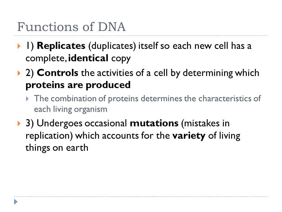 what are 3 functions of dna