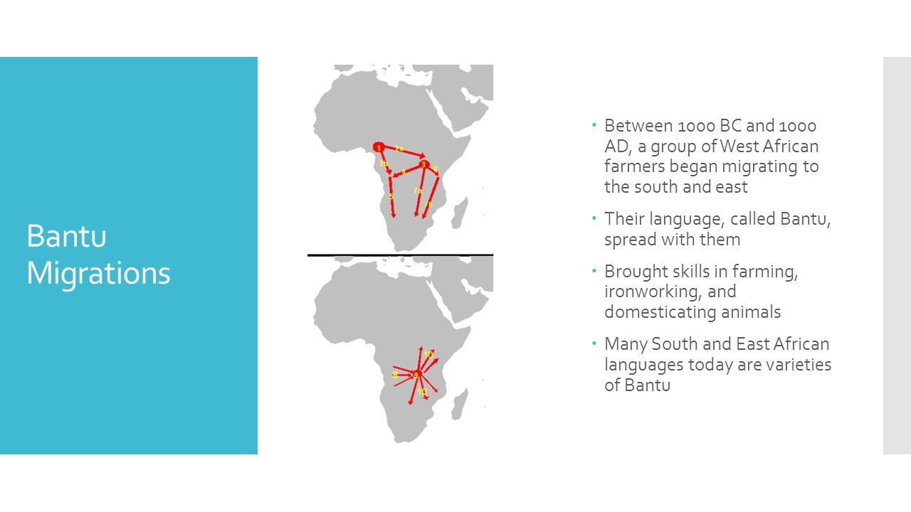 Bantu Migrations  Between 1000 BC and 1000 AD, a group of West African farmers began migrating to the south and east  Their language, called Bantu, spread with them  Brought skills in farming, ironworking, and domesticating animals  Many South and East African languages today are varieties of Bantu