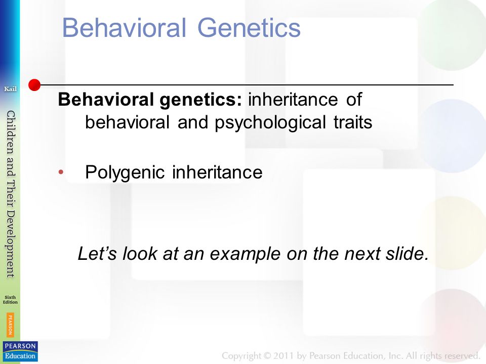 Behavioral Genetics Behavioral genetics: inheritance of behavioral and psychological traits Polygenic inheritance Let’s look at an example on the next slide.