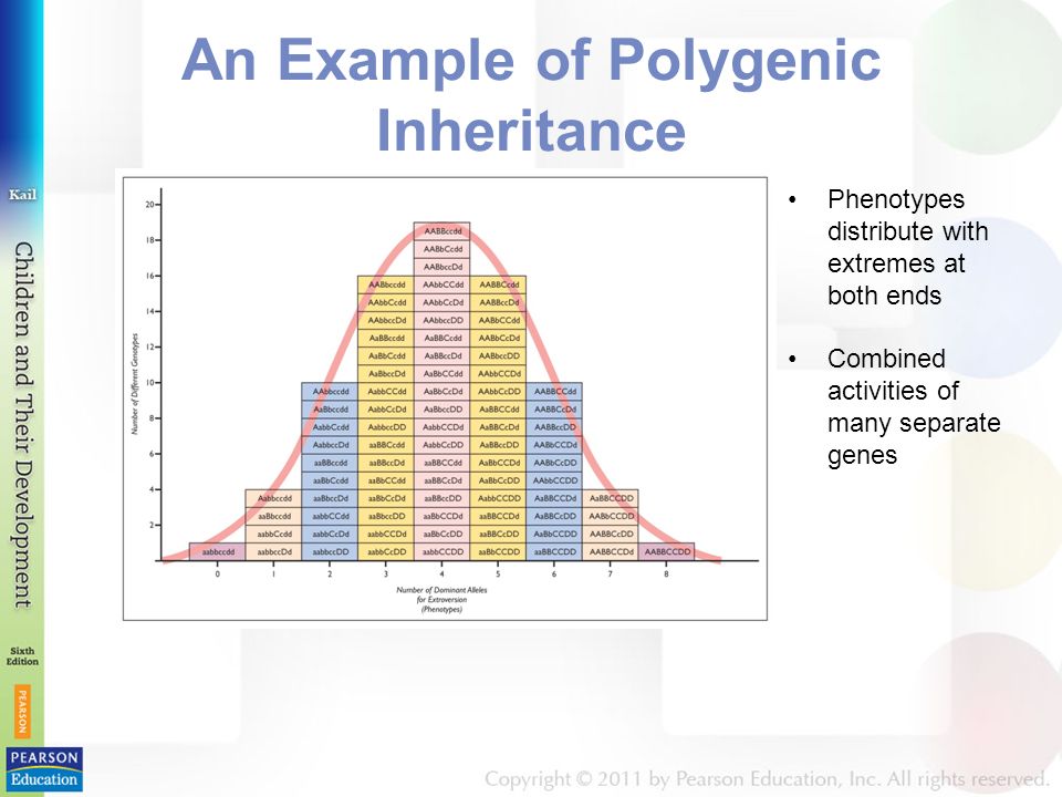 An Example of Polygenic Inheritance Phenotypes distribute with extremes at both ends Combined activities of many separate genes