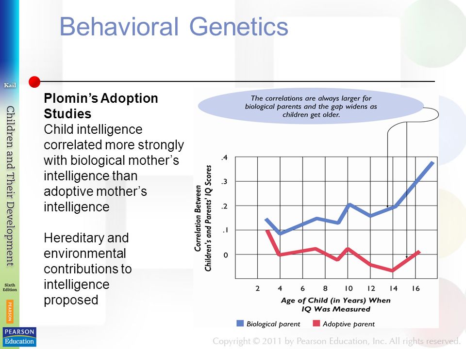 Behavioral Genetics Plomin’s Adoption Studies Child intelligence correlated more strongly with biological mother’s intelligence than adoptive mother’s intelligence Hereditary and environmental contributions to intelligence proposed
