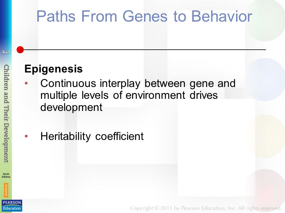 Paths From Genes to Behavior Epigenesis Continuous interplay between gene and multiple levels of environment drives development Heritability coefficient