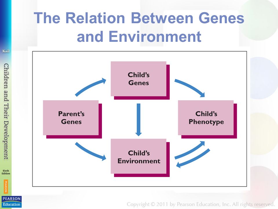 The Relation Between Genes and Environment