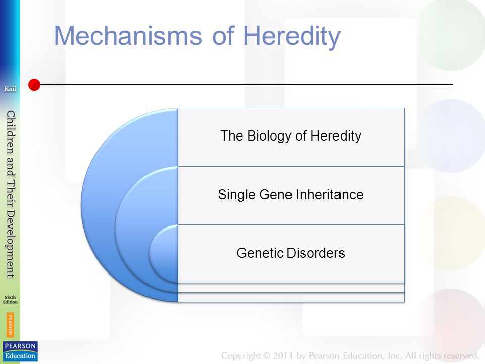 Mechanisms of Heredity The Biology of Heredity Single Gene Inheritance Genetic Disorders