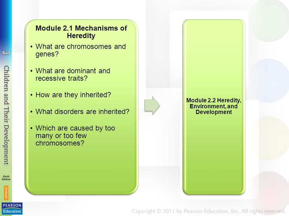 Module 2.1 Mechanisms of Heredity What are chromosomes and genes.
