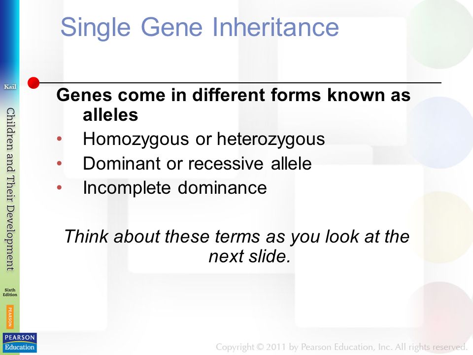 Single Gene Inheritance Genes come in different forms known as alleles Homozygous or heterozygous Dominant or recessive allele Incomplete dominance Think about these terms as you look at the next slide.