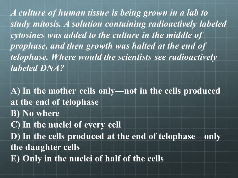 A culture of human tissue is being grown in a lab to study mitosis.