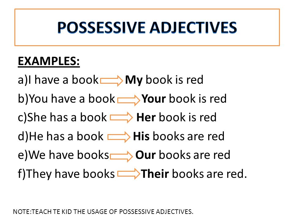 Adjectives 5 класс. Possessive adjectives and pronouns правило. Possessive adjectives pronouns правила. Possessive adjectives примеры. Английский язык 5 класс possessive adjectives.
