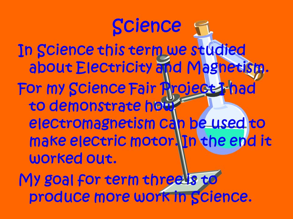 Science In Science this term we studied about Electricity and Magnetism.