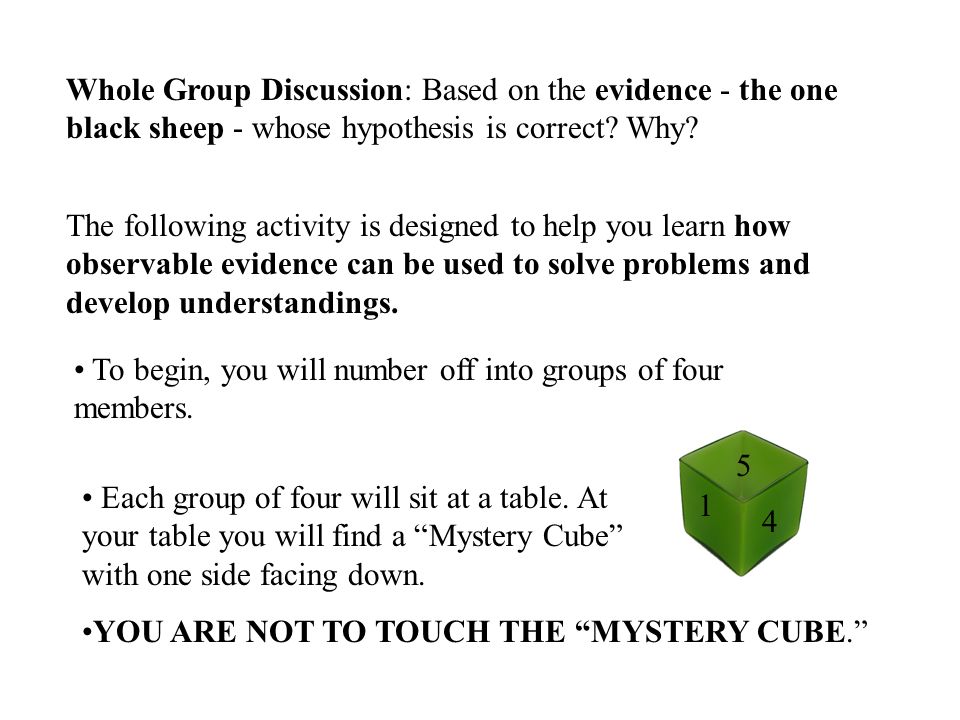 Whole Group Discussion: Based on the evidence - the one black sheep - whose hypothesis is correct.