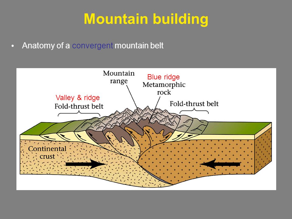 Tectonic deformation and geologic structures. Mountain building Anatomy of a convergent mountain belt Valley & ridge Blue ridge. - ppt download