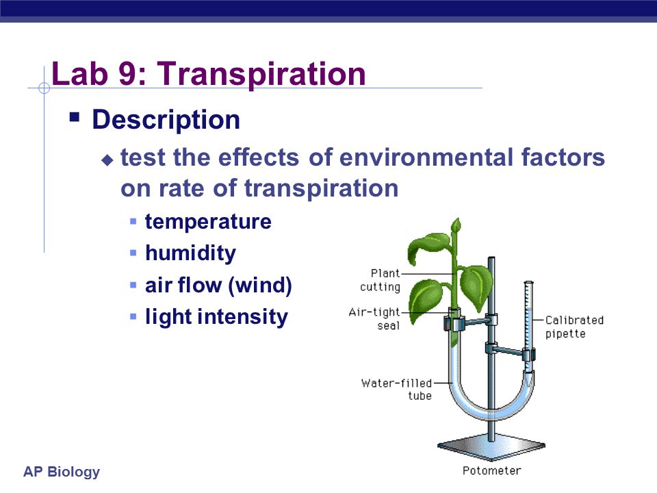 effects of transpiration