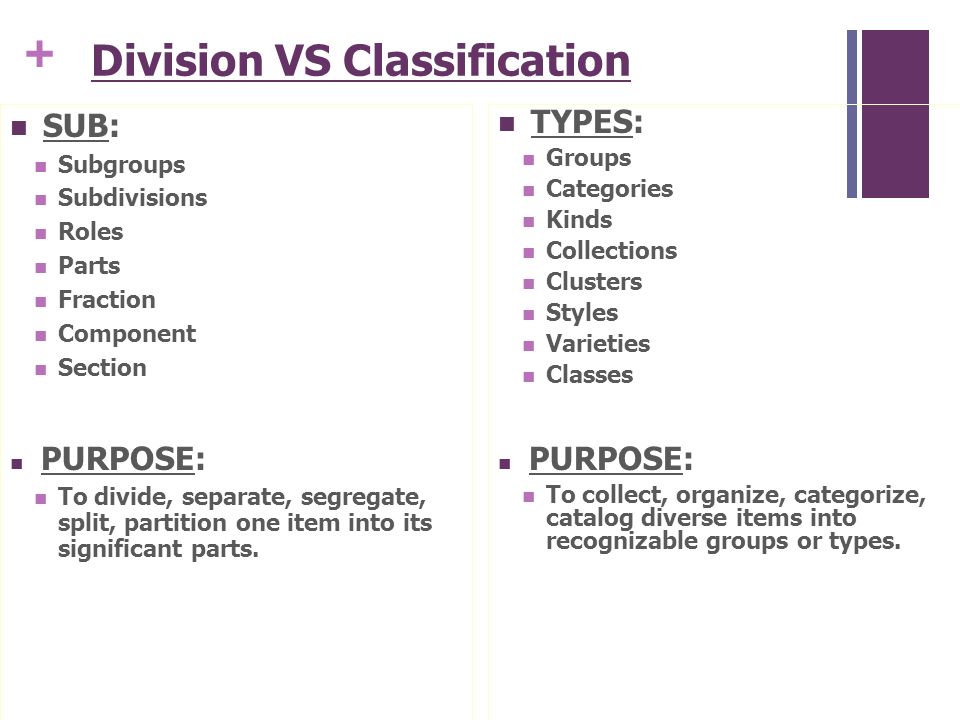 Classification and division essay ppt