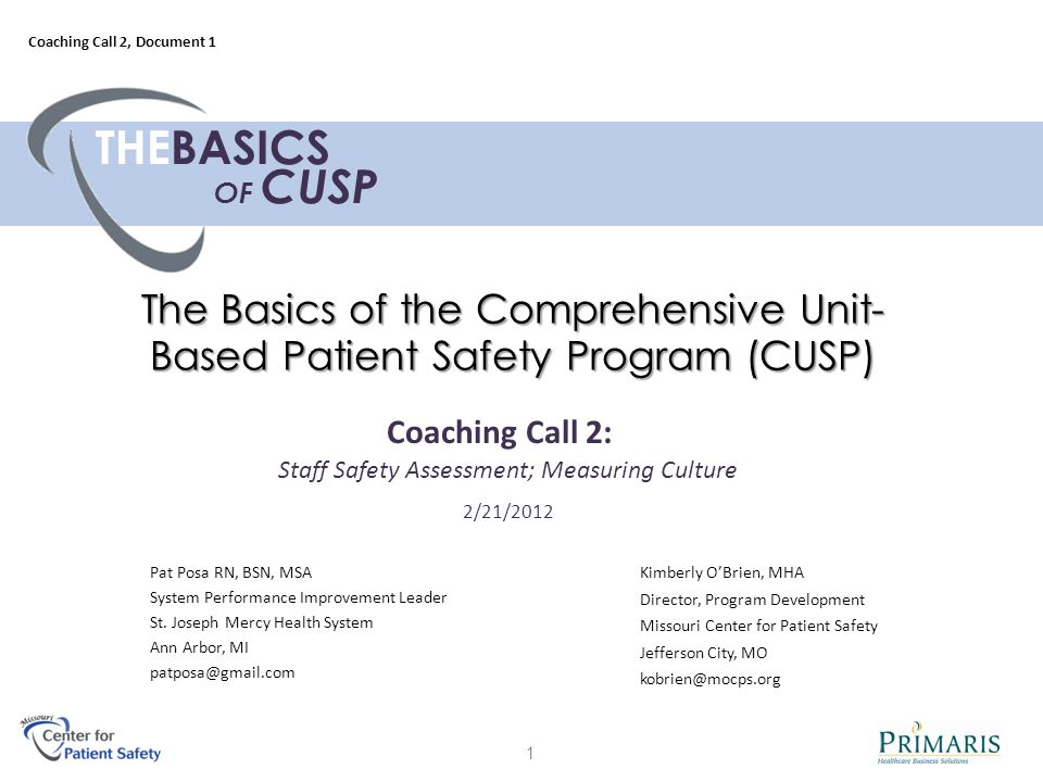 The Basics of the Comprehensive Unit- Based Patient Safety Program (CUSP) Pat Posa RN, BSN, MSA System Performance Improvement Leader St.