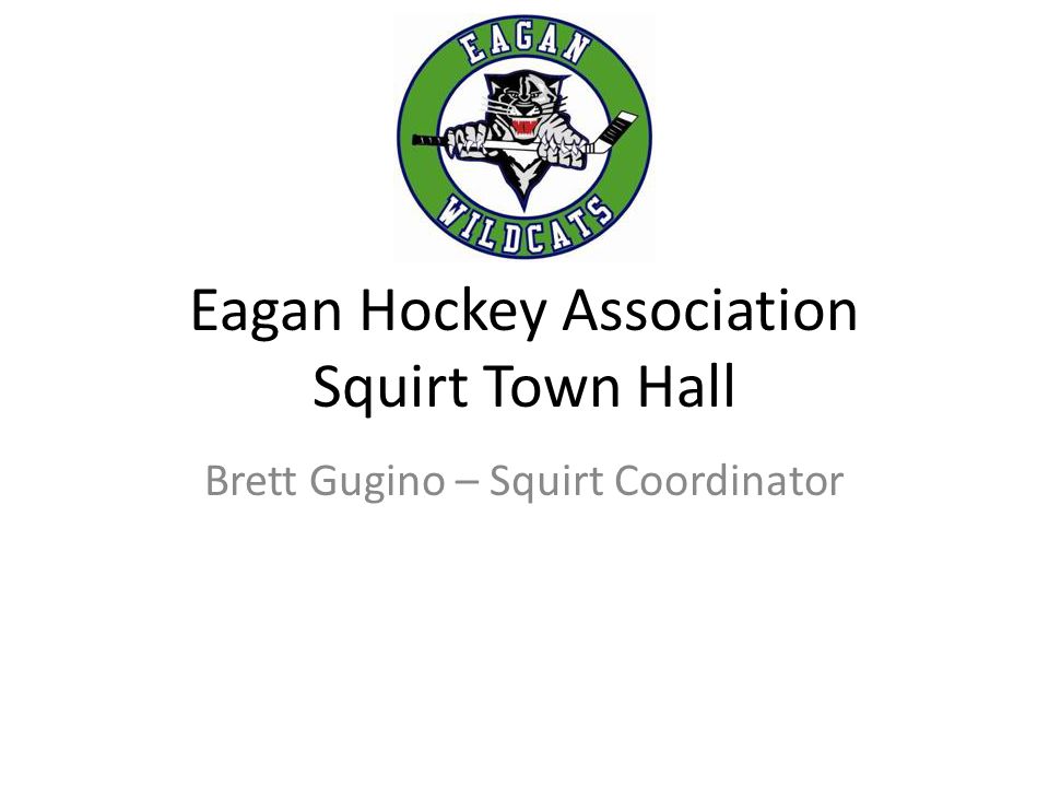 Eagan Hockey Association Squirt Town Hall Brett Gugino – Squirt Coordinator