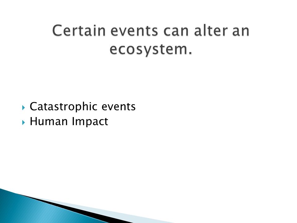  Catastrophic events  Human Impact