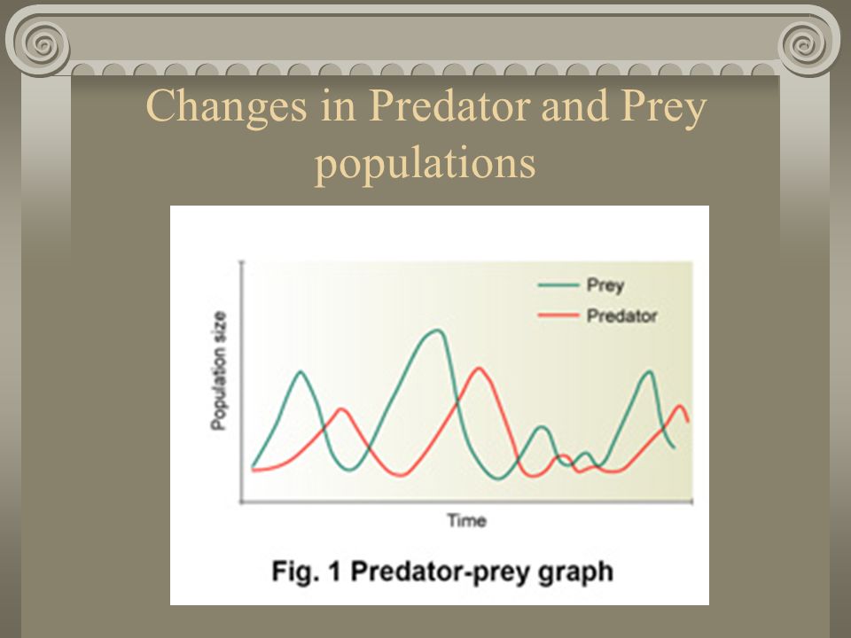 Changes in Predator and Prey populations