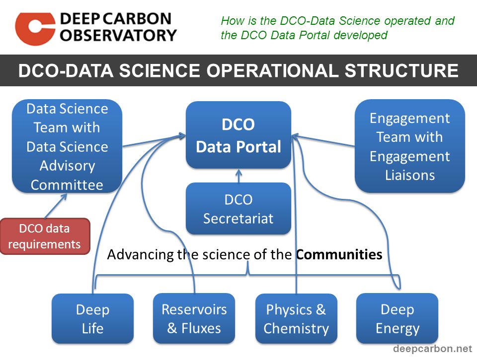 Data Science Org Chart