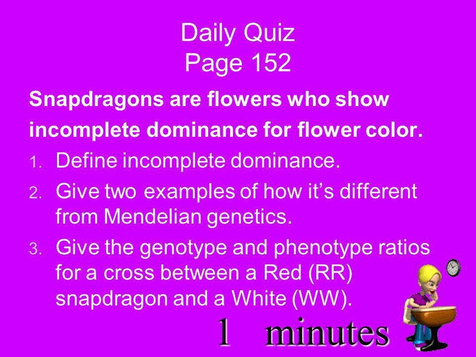 2minutes Daily Quiz Page 152 Snapdragons are flowers who show incomplete dominance for flower color.
