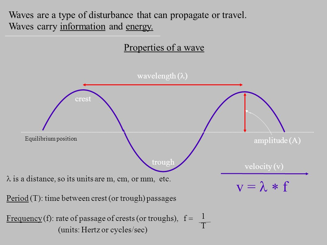 Waves are a type of disturbance that can propagate or travel.
