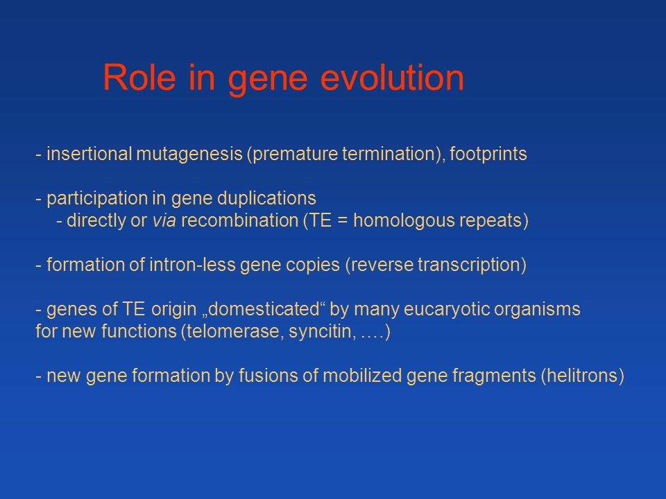 Role in gene evolution - insertional mutagenesis (premature termination), footprints - participation in gene duplications - directly or via recombination (TE = homologous repeats) - formation of intron-less gene copies (reverse transcription) - genes of TE origin „domesticated by many eucaryotic organisms for new functions (telomerase, syncitin, ….) - new gene formation by fusions of mobilized gene fragments (helitrons)