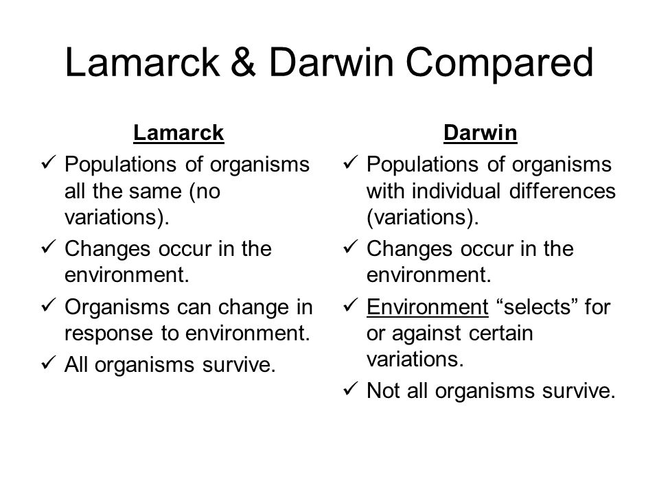 Evolution. Definition of Evolution A change in species of organisms over  time. A process by which modern organisms have descended from ancient  organisms. - ppt download