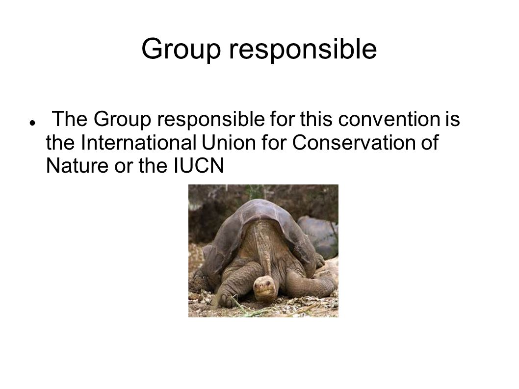Group responsible The Group responsible for this convention is the International Union for Conservation of Nature or the IUCN