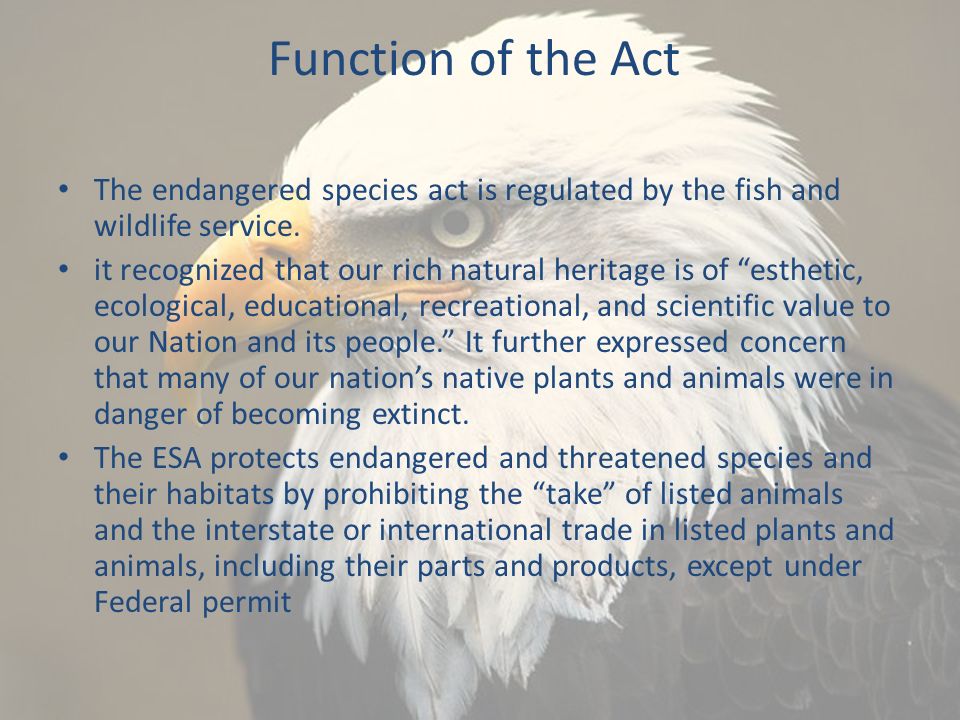 Function of the Act The endangered species act is regulated by the fish and wildlife service.
