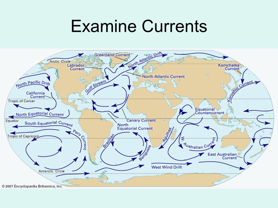 Назовите теплые течения атлантического океана. Океаническое течение Гольфстрим на карте. Гольфстрим и Северо атлантическое течение на карте. Карта течений Атлантического океана. Схема теплых и холодных течений мирового океана.