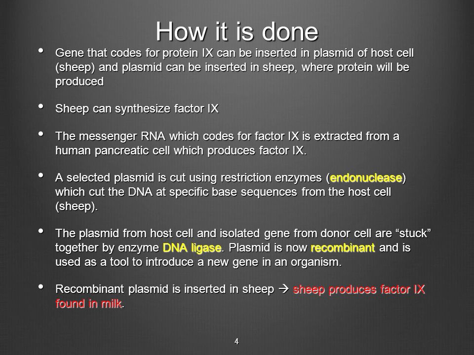 Gene that codes for protein IX can be inserted in plasmid of host cell (sheep) and plasmid can be inserted in sheep, where protein will be produced Gene that codes for protein IX can be inserted in plasmid of host cell (sheep) and plasmid can be inserted in sheep, where protein will be produced Sheep can synthesize factor IX Sheep can synthesize factor IX The messenger RNA which codes for factor IX is extracted from a human pancreatic cell which produces factor IX.