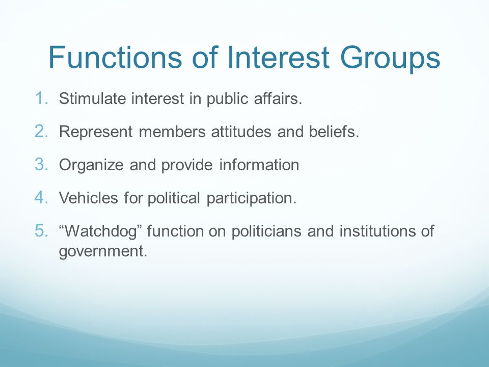 functions of interest groups