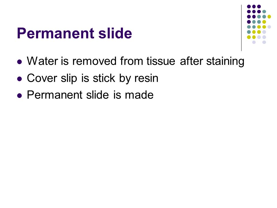 Permanent slide Water is removed from tissue after staining Cover slip is stick by resin Permanent slide is made