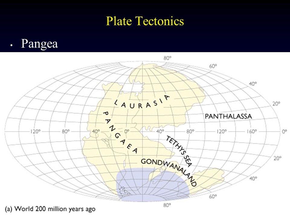 5 Plate Tectonics Pangea