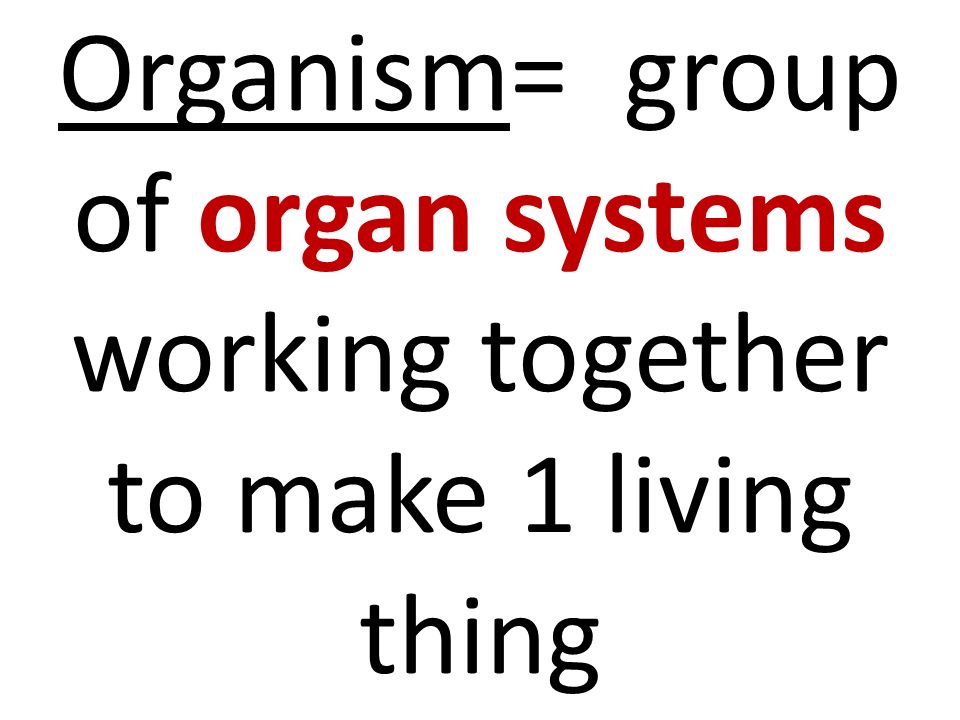 Organism= group of organ systems working together to make 1 living thing